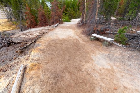 Thermal activity beging to show signs underneath a hiking trail