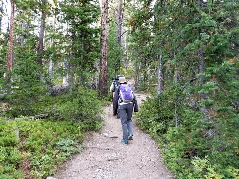 Trail up Avalanche Peak