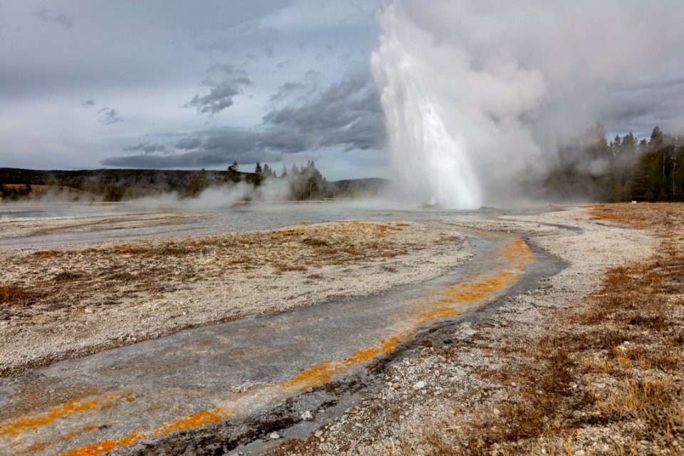 Daisy Geyser eruption and outflow channel