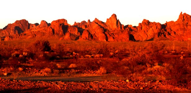 PALM CYN ROAD CAMPSITE, Kofa Game Range, La Paz Co, AZ (3-16-2018) -11