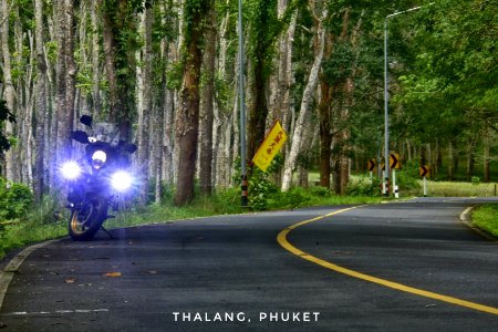  DSC4905-01