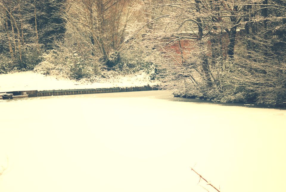 basingstoke canal slipway