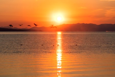 Canada Geese flying through the sunrise on Yellowstone Lake photo