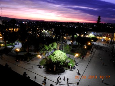 DSCN3991