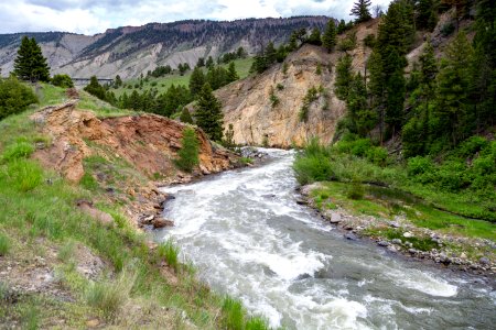 Gardner River flowing towards the Gardner River Bridge photo