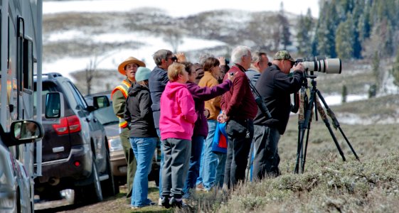 Visitors watching wildlife