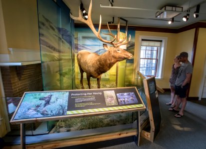 Exhibits in the Albright Visitor Center