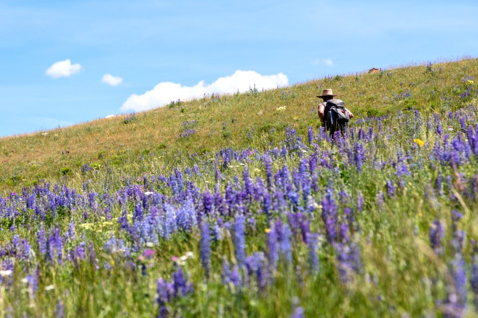 Hiker on Specimen Ridge (2)