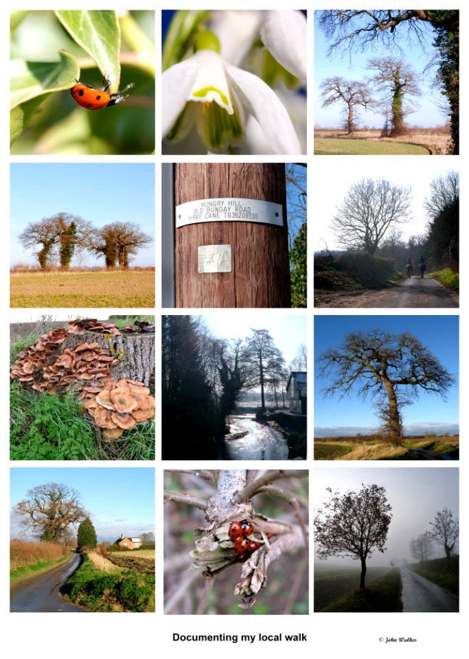 Local walk