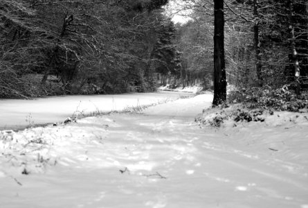 black and white basingstoke canal