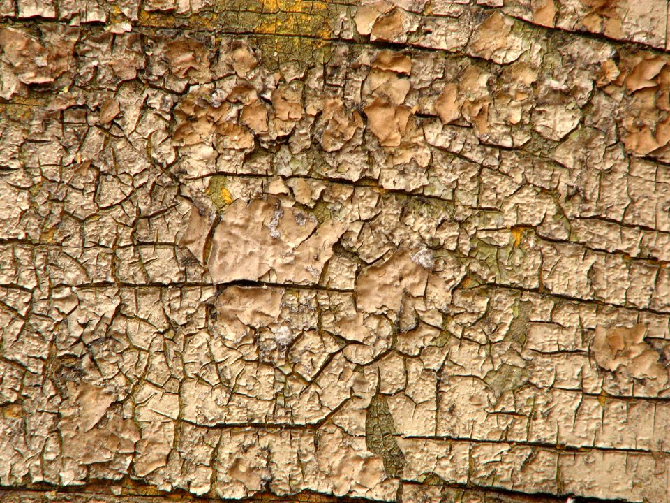 old paint texture 1