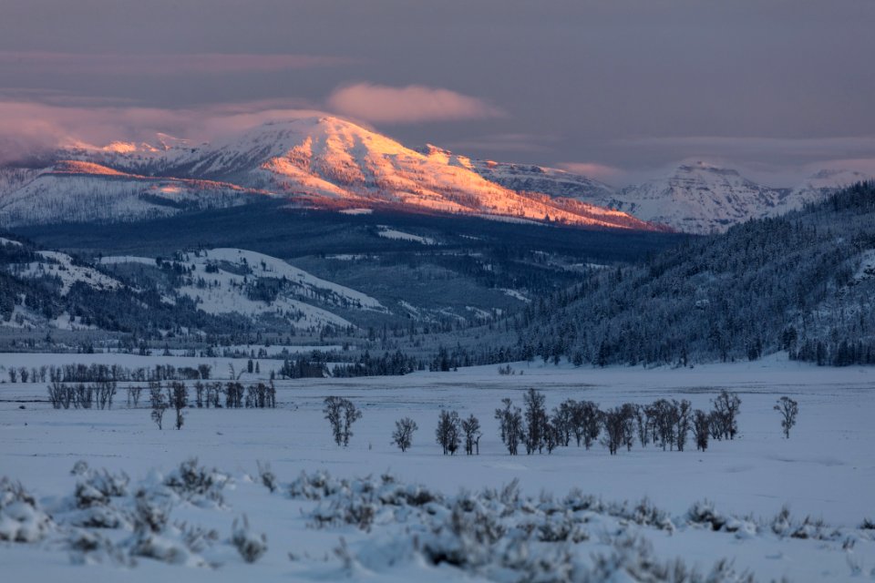 Lamar Valley alpenglow photo