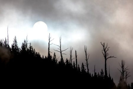Steamy sunrise over Roaring Mountain