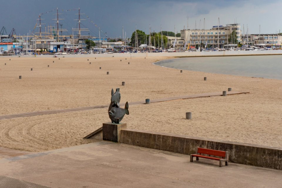 plaza bez ludzi P1590812