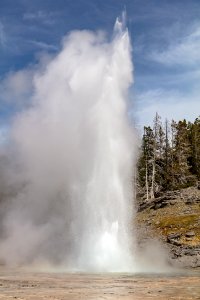 Grand Geyser eruption afternoon of March 9 (high burst)