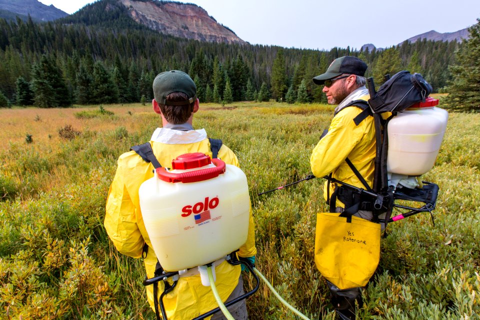 Bryan Giordano and Brian Ertel prepare to spray rotenone in tribuatries of Soda Butte Creek