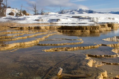Mammoth Hot Springs Terraces photo