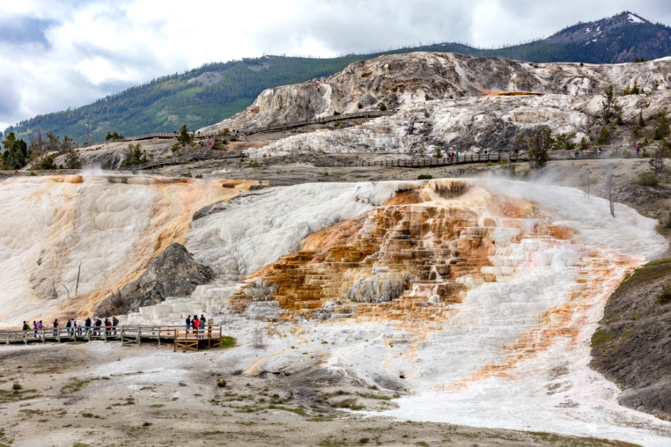 People exploring Mammoth Hot Spring boardwalks