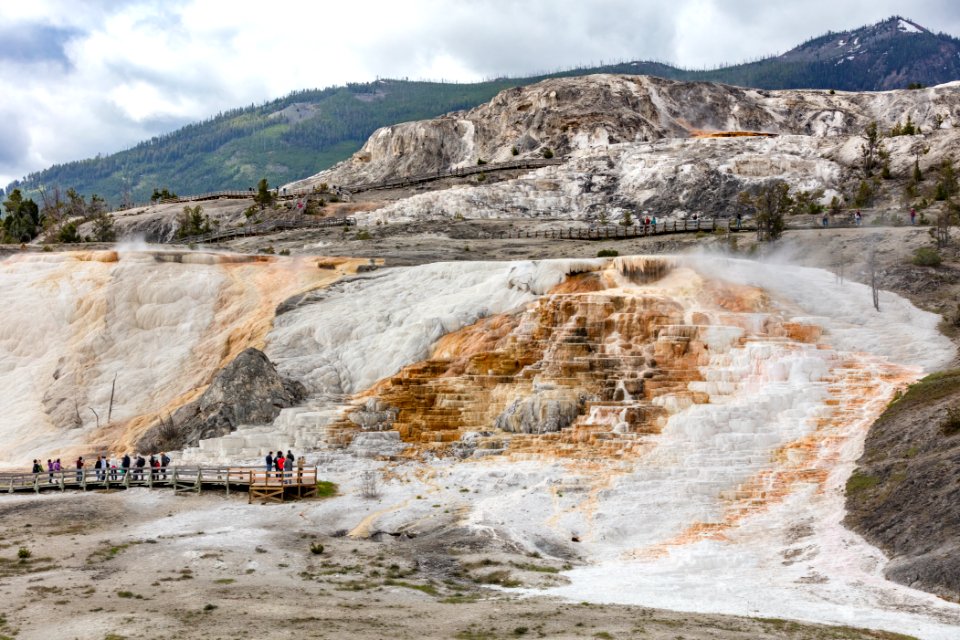 People exploring Mammoth Hot Spring boardwalks photo