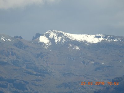 DSCN4284