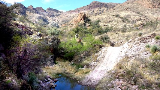 ROCK CORRAL CANYON - Atascosa Mts (3-22-14) -01 photo