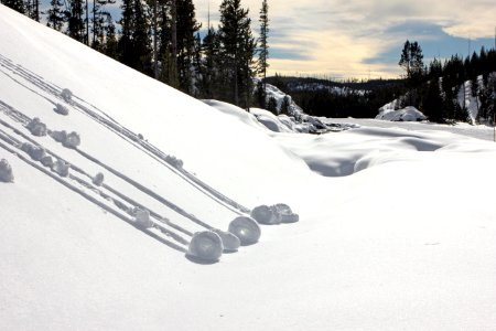 Snow rollers photo