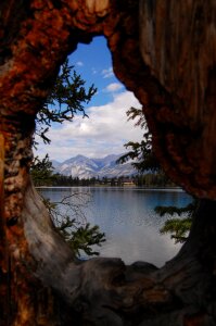 Summer reflection vision