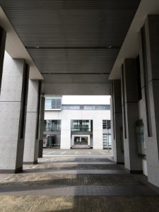 IMG 7299