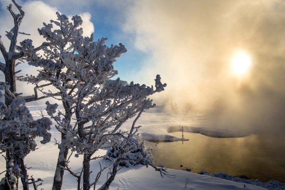 Winter sunrise, Mammoth Hot Springs photo