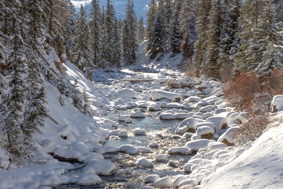 Soda Butte Creek photo