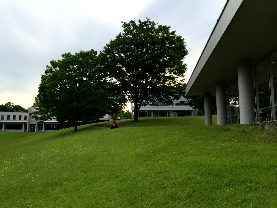 IMG 9288