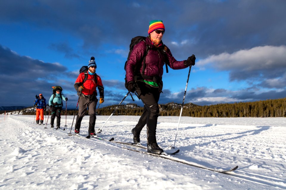 Backcountry campers ski along the road in Lower Geyser Basin