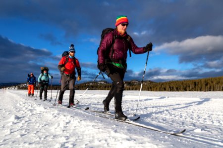 Backcountry campers ski along the road in Lower Geyser Basin