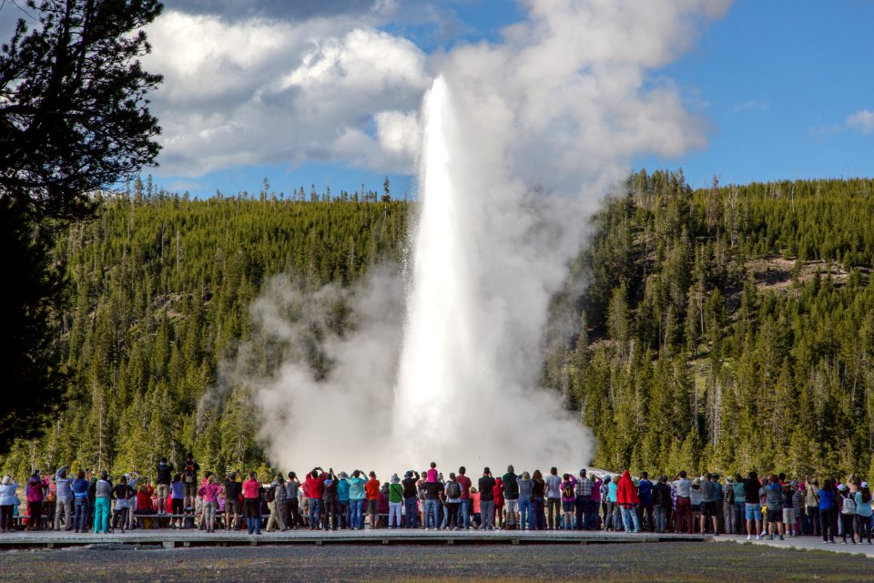 Early summer crowd at Old Faithful