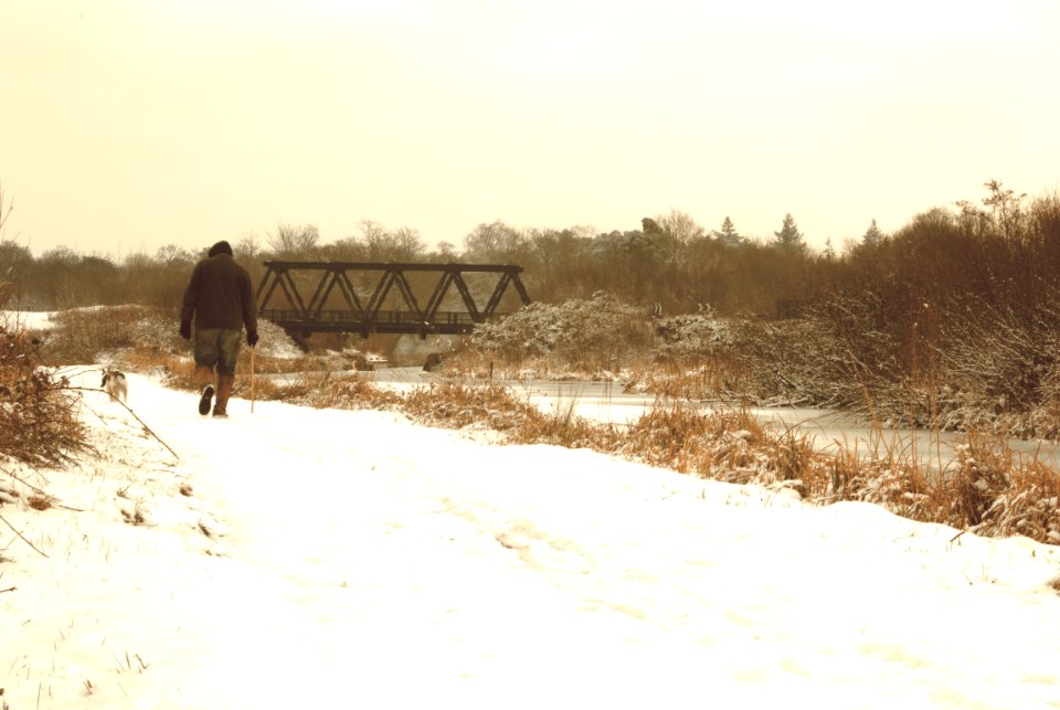 one man and his dog