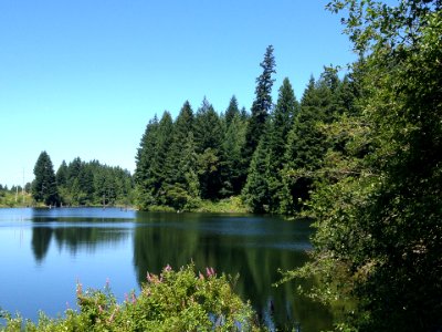 Morrell Lake