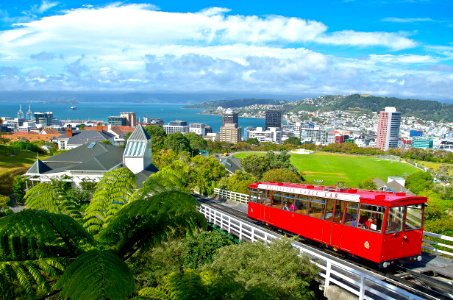 My Wellington
