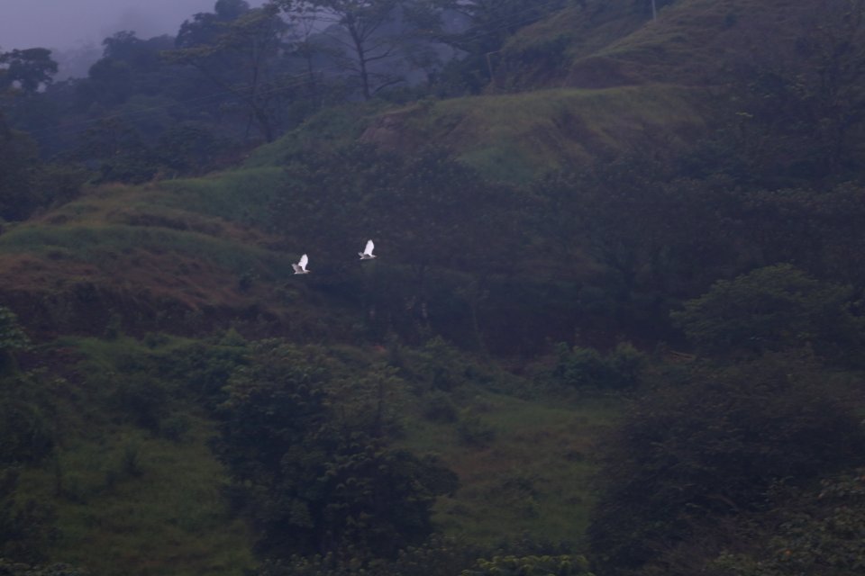 IMG 0912
