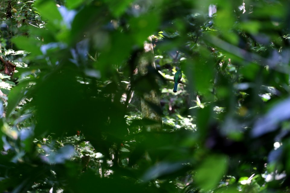 IMG 0678