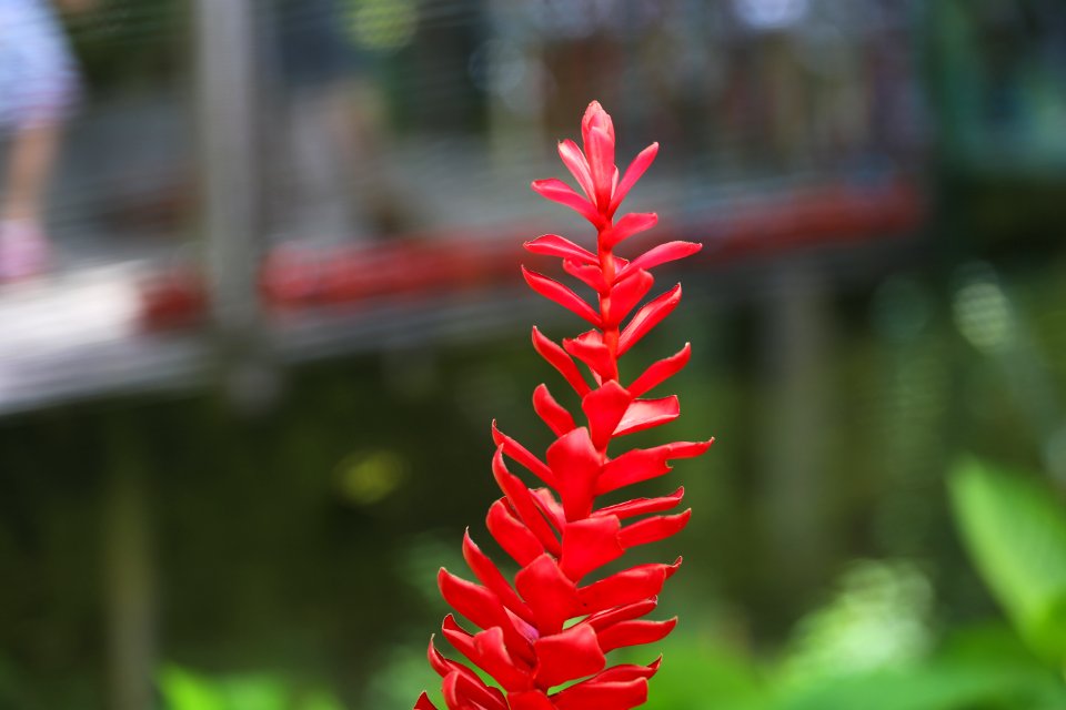 IMG 0605