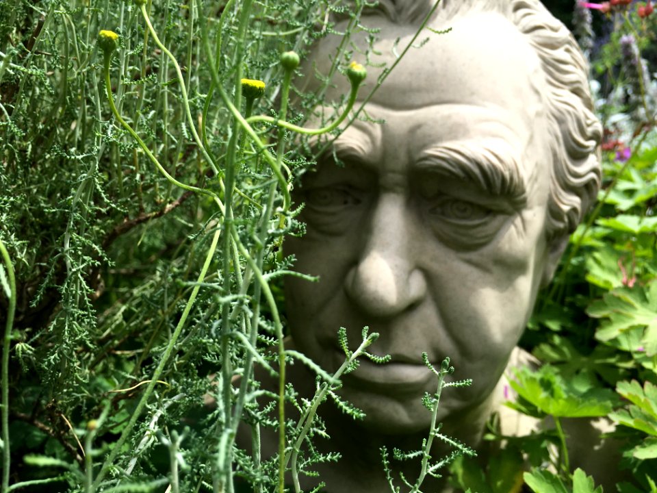 Love this bust of Sir Joseph Banks peering from his rock garden at Chelsea Physic Garden