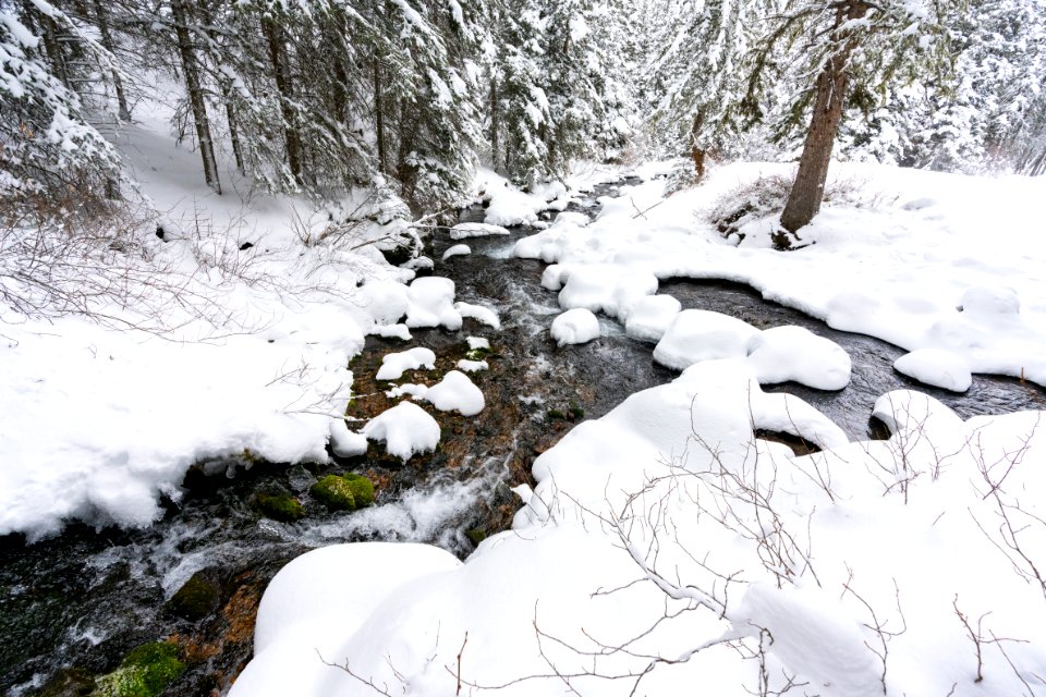 East Fork of Emigrant Creek