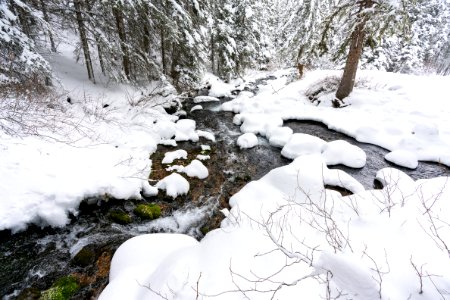 East Fork of Emigrant Creek