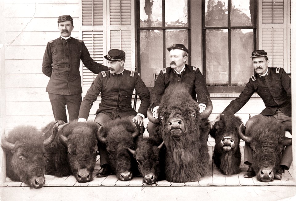 Men who captured poacher Howell with confiscated bison heads