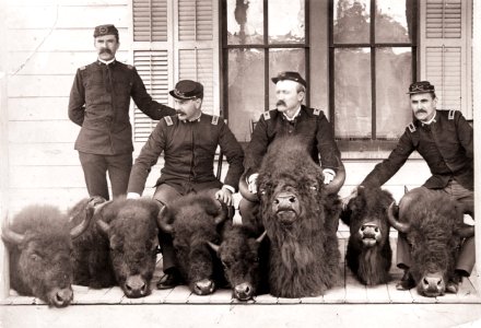 Men who captured poacher Howell with confiscated bison heads photo