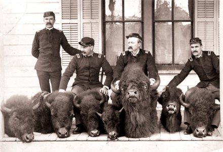 Men who captured poacher Howell with confiscated bison heads