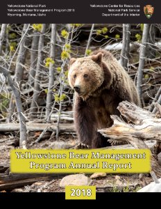 2018 Bear Report cover
