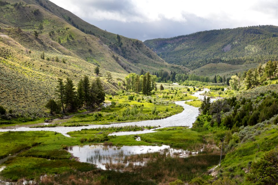 Spring along the Gardner River