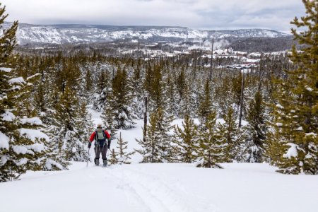Cross-country skiing from Lone Star Geyser to Snow Lodge on the Howard Eaton Trail (4)