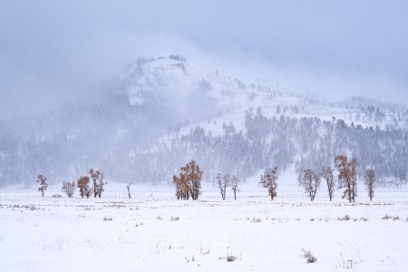 Winter day in Lamar Valley photo